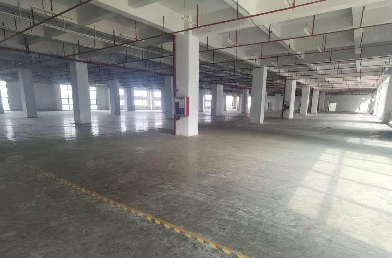 福永新和沿江高速口1000平精装修办公室厂房仓库出租招租分租