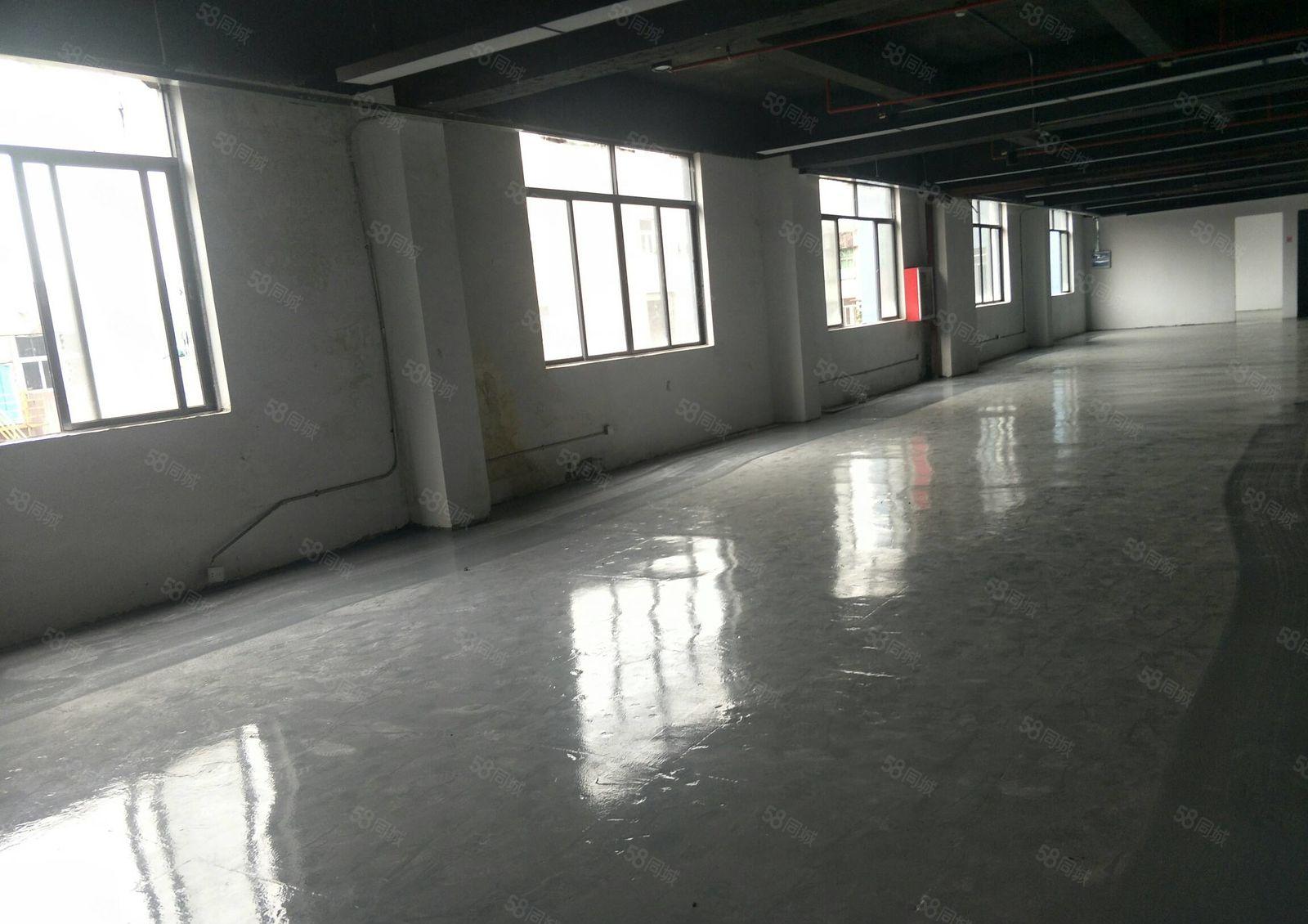 宝安西乡臣田大型工业园标准厂房出租300平