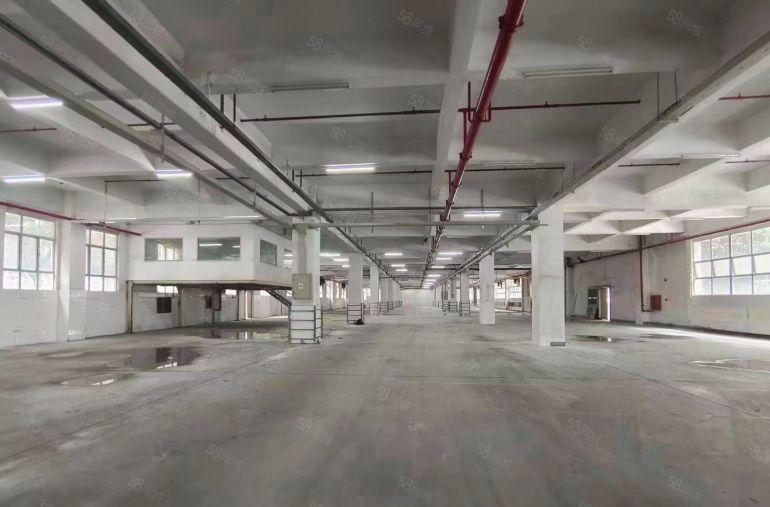 厂房出租4280平方，可多层可分租，红本物业，随时可看