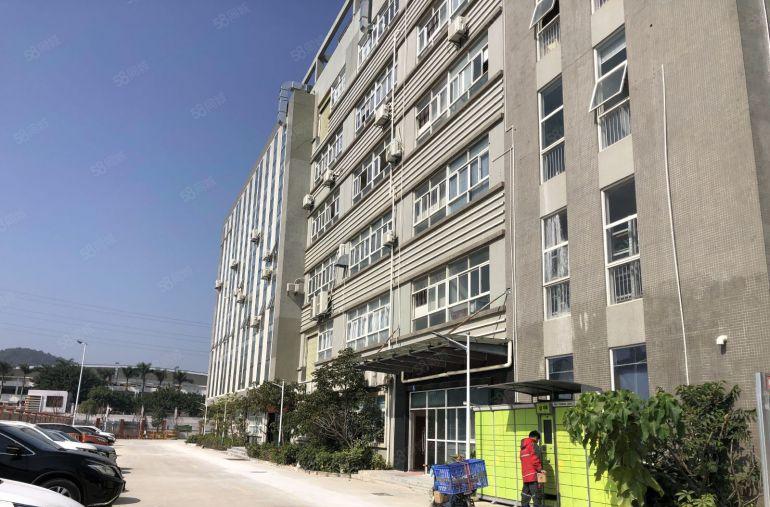 原房东！塘头工业区工业园新出楼上1000平精装修办公厂房出租