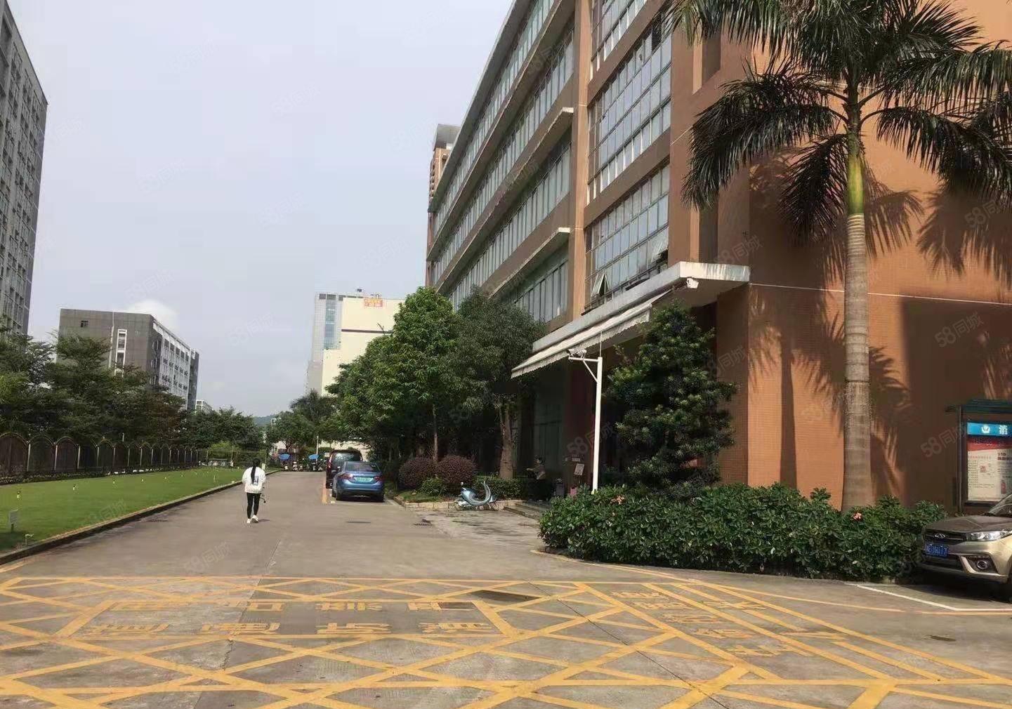 松岗高新园200平至整层3200平办公室一楼仓库厂房出租