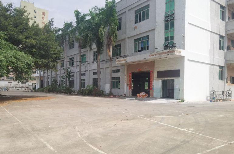 松岗独门独院3000平村委厂房招租可分租研发办公仓库无尘车间
