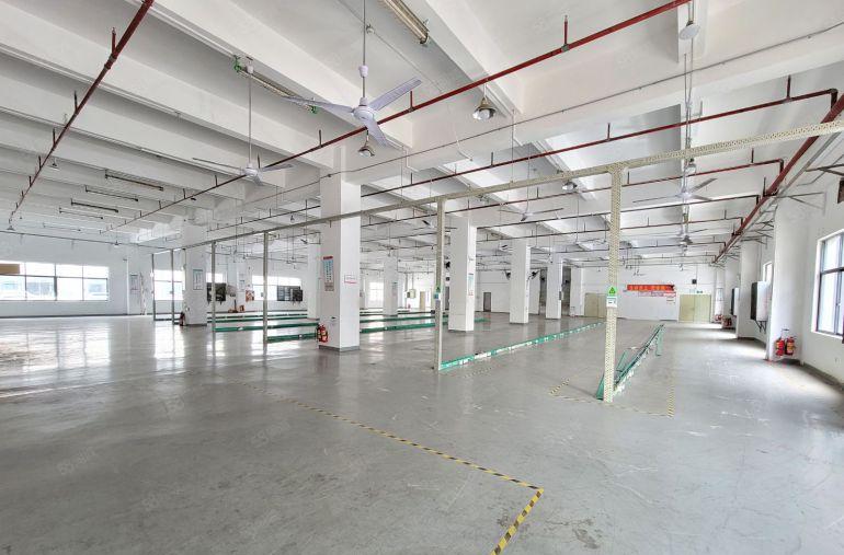 石岩汽车站独院8000平带装修厂房出租可分原房东一楼仓库出租