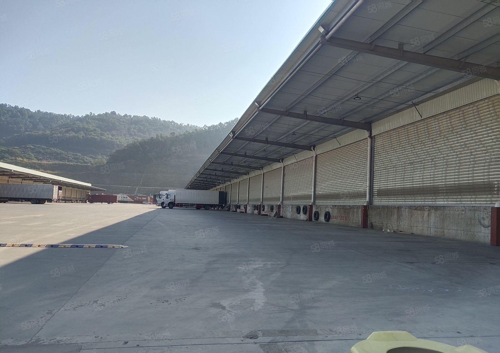 福永国道边现代物流园15000平方招租可分