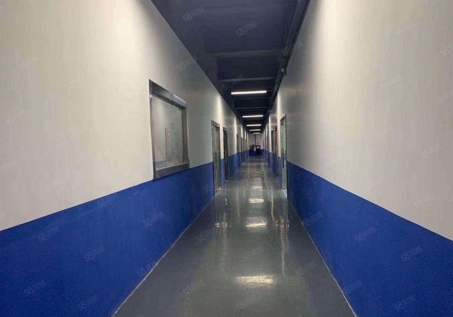 福永凤凰厂房500带装修出租