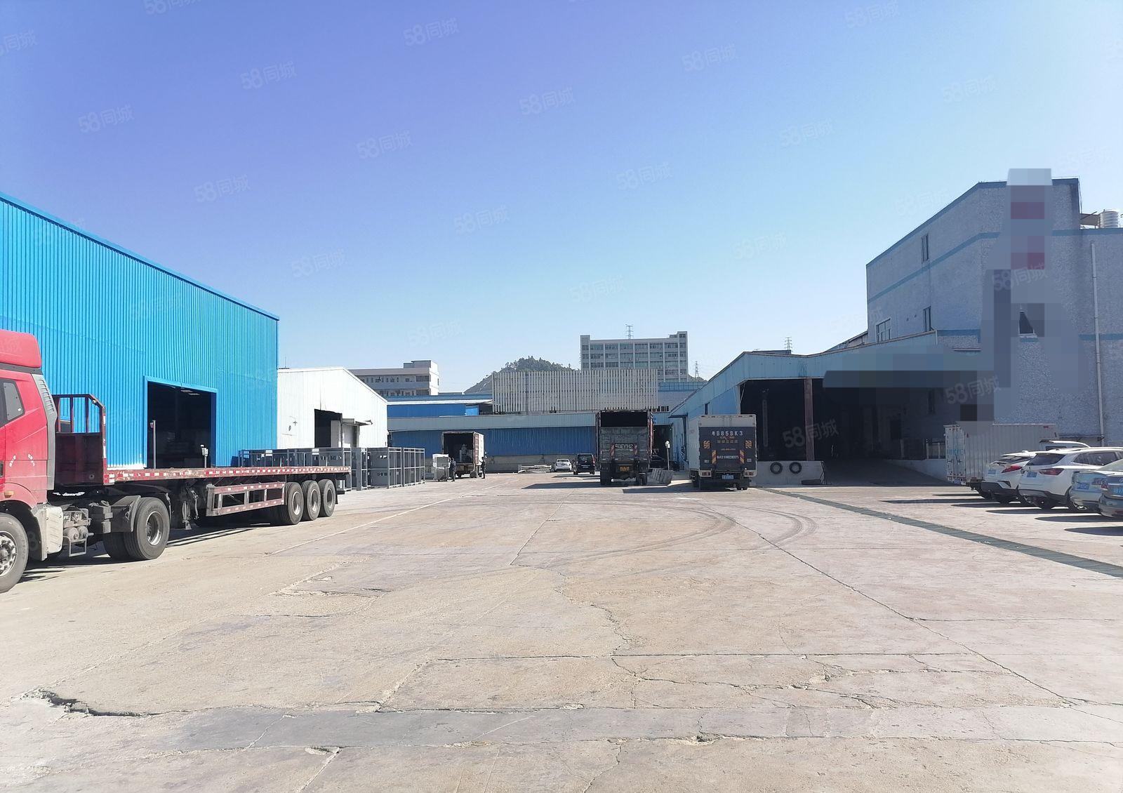 新桥高速口5000平物流仓库出租可分租