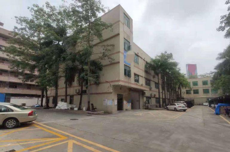 宝安区松岗大田洋一手房东6米高一楼厂房1200平出租可分租