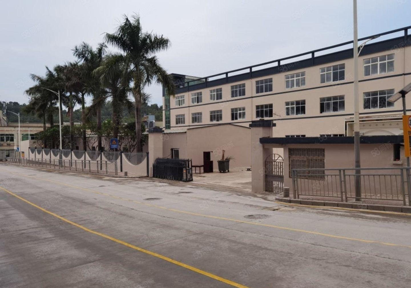 松岗岗原房东红本独院5100平厂房出租 带独立办公楼可分租