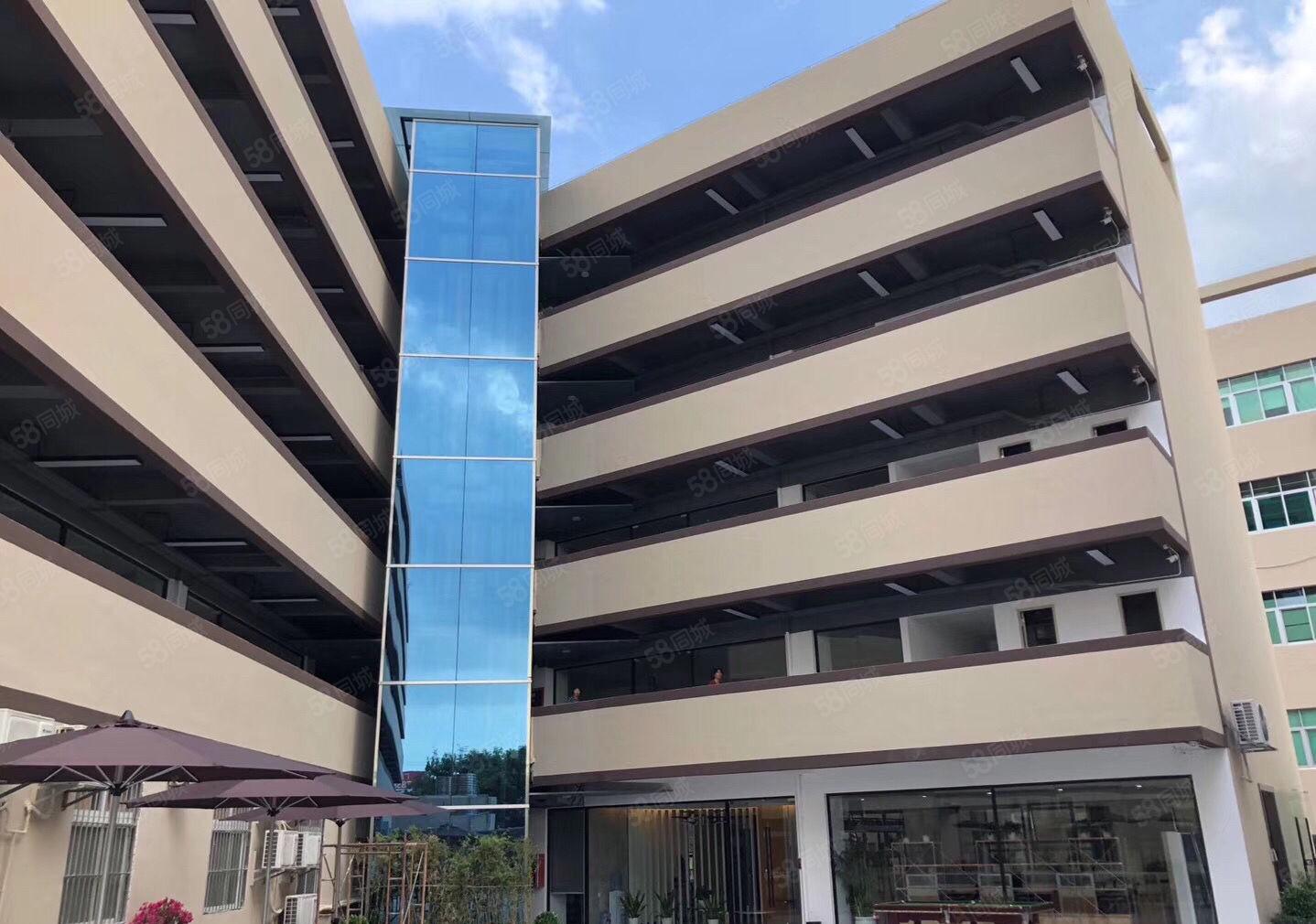 石岩塘头高速出口原房东厂房出租1240平米