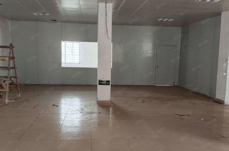 西乡九围洲石路旁 原房东一楼 精装修540平