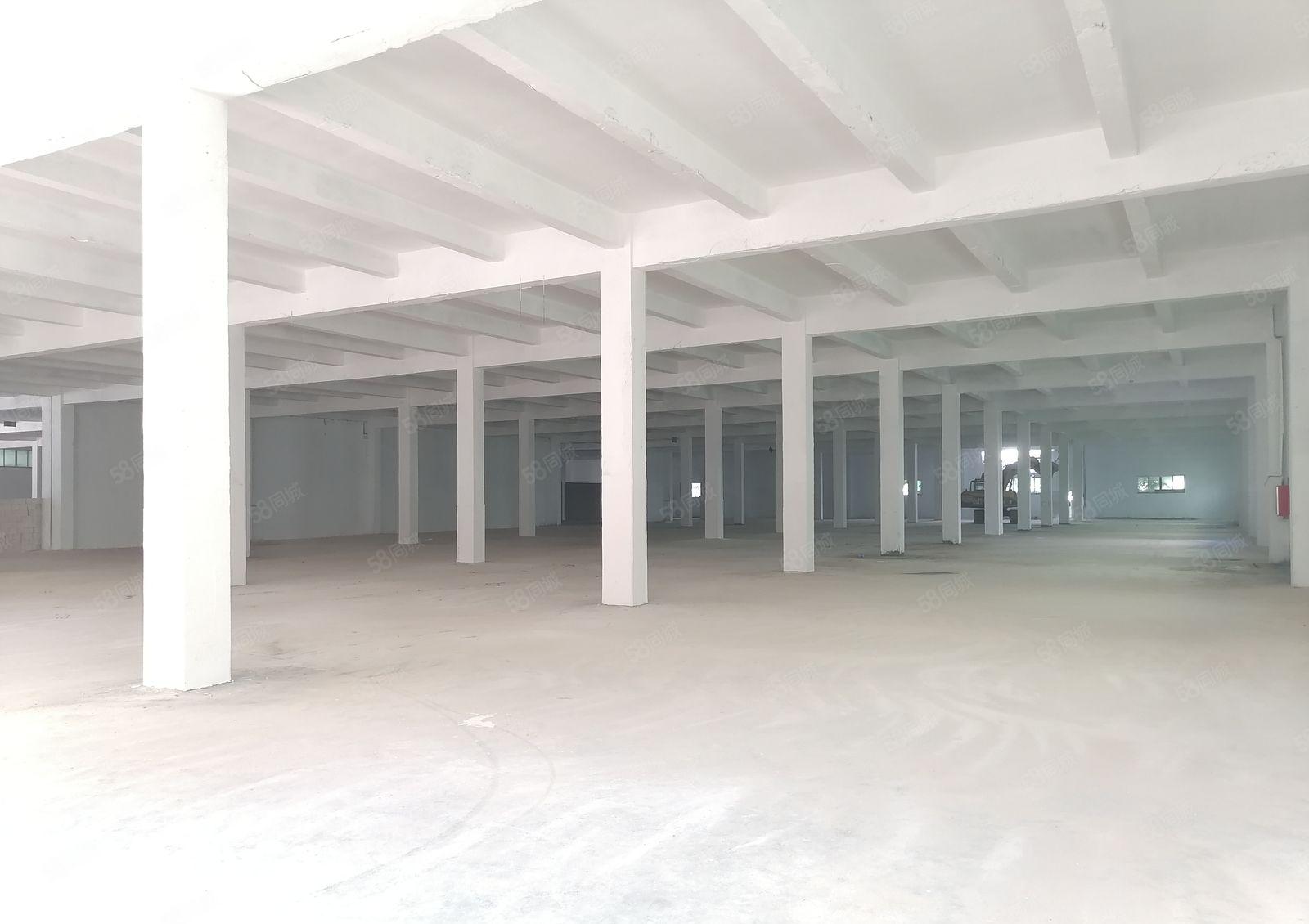 新桥高速口5000平物流仓库出租可分租