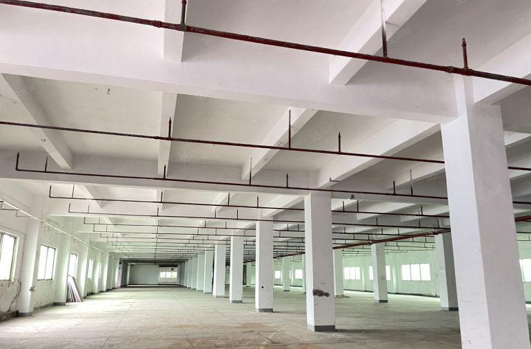 松岗塘下涌107国道原房东带红本厂房1000平起分，空地超大