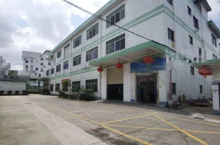 房东直租（松岗3层独院6300平，1000平起分，公摊小）