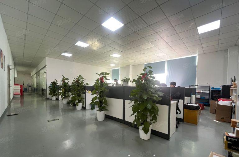 宝安石岩水田工业园1300平带精装修电商办公室仓库厂房出租