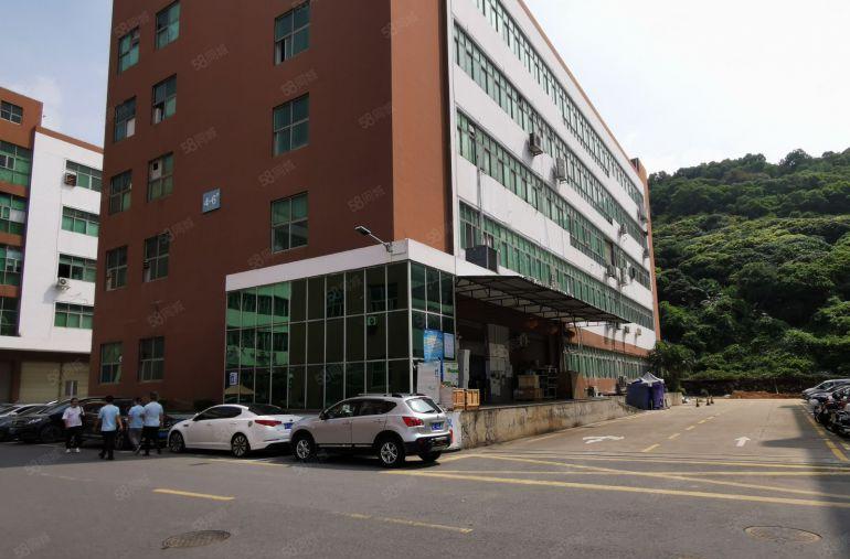 同富裕工业区村委直租1800平带装修厂房 一楼带卸货平台