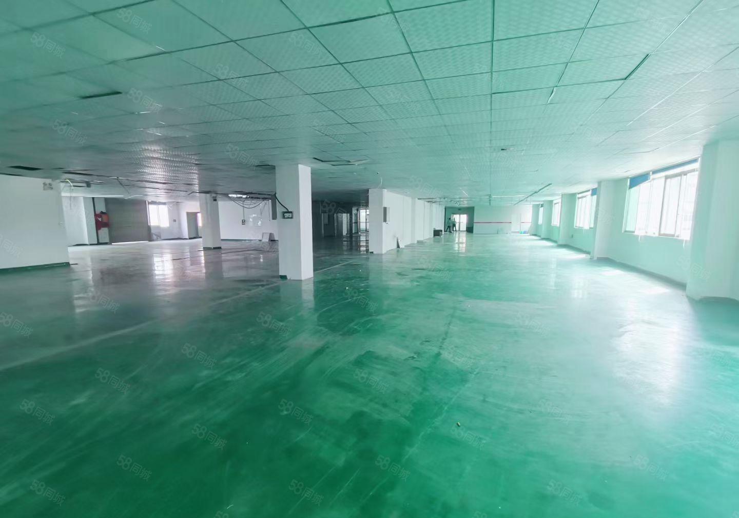 200平分租合租仓库办公室福永原房东厂房出租空地大停车位充足