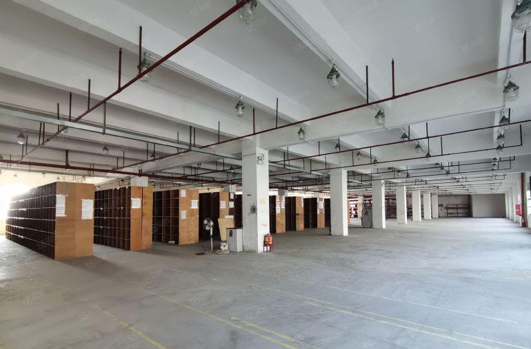 沙井107国道一楼6500平方物流仓库出租500平方起出租