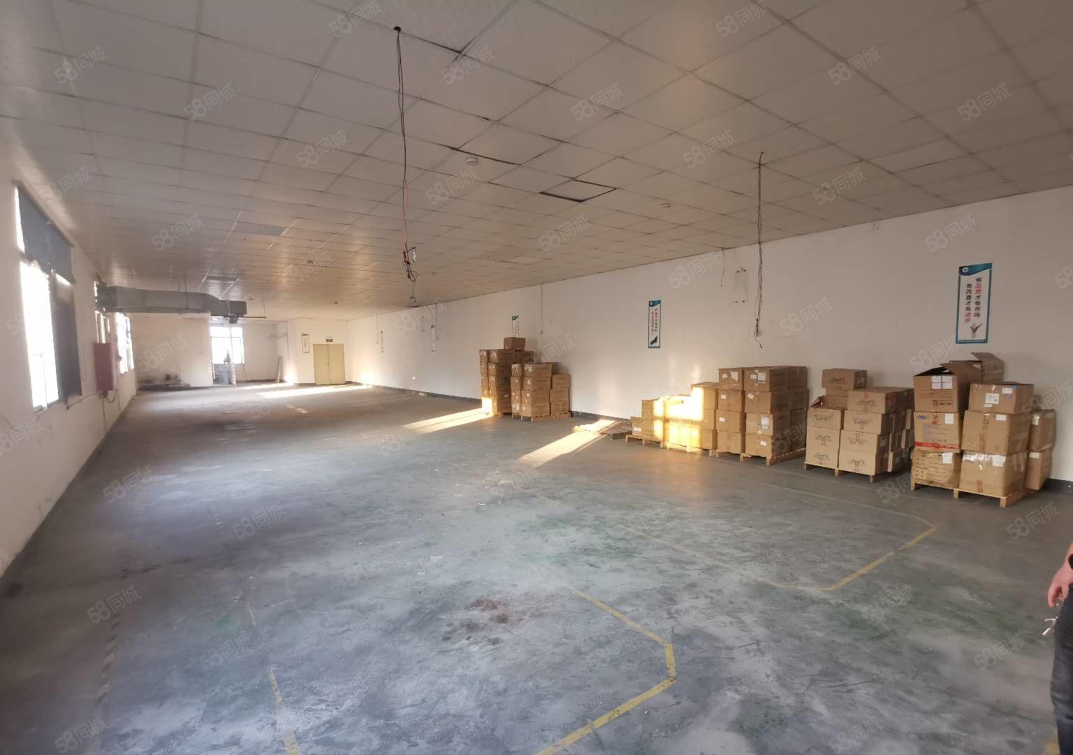 特价21西乡九围簕竹角600平带装修厂房出租水电到位交通便利