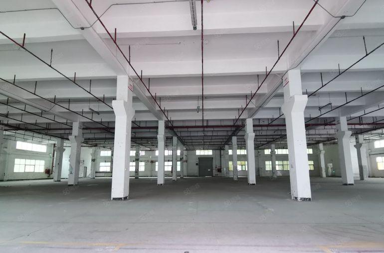 6000平独门独院原房东红本工业厂房低价出租沙井后亭地铁站