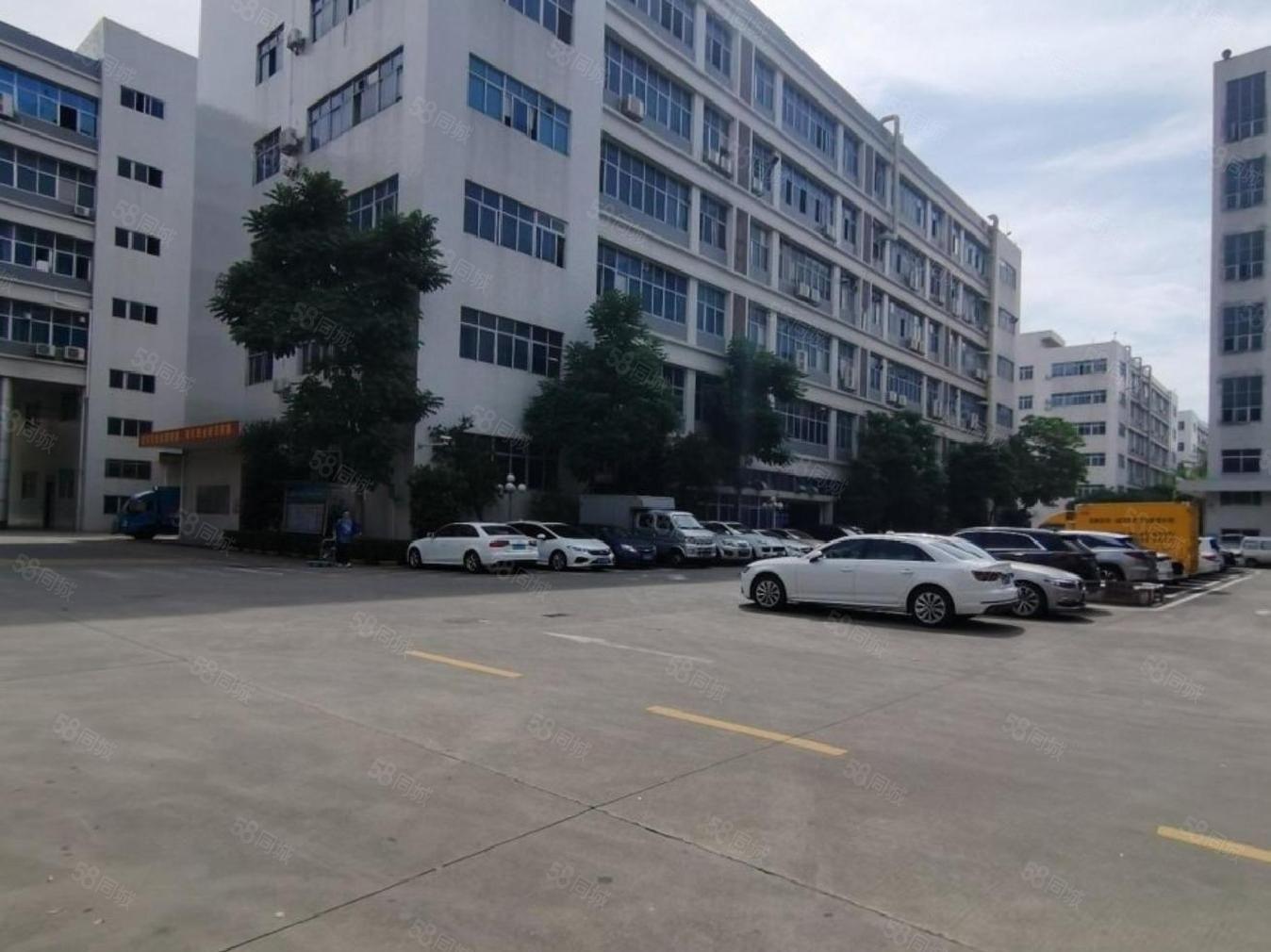 松岗罗田高速口2楼1860平带装修 厂房仓库出租 可分租