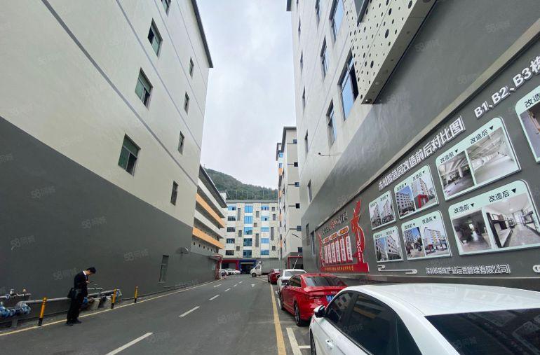 西乡村委直需无公摊36000平方可分层分栋厂房仓库500起租