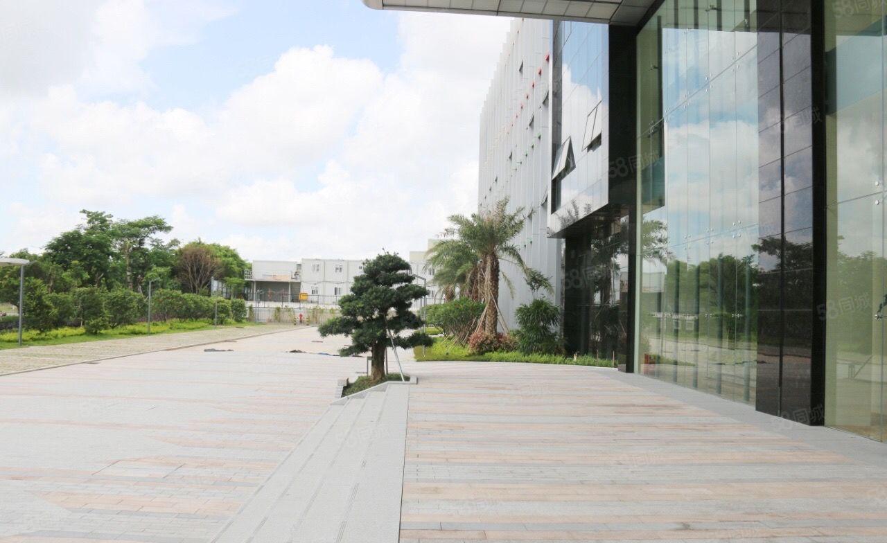 光明300平高新园区厂房出租50平起分租办公室低价招租