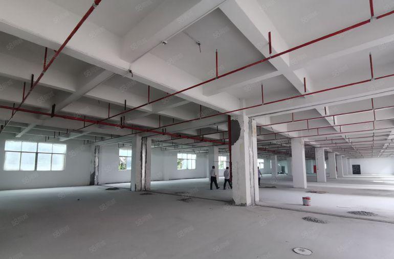 沙井南环路7000平方独门独院红本厂房低价出租可1000平租