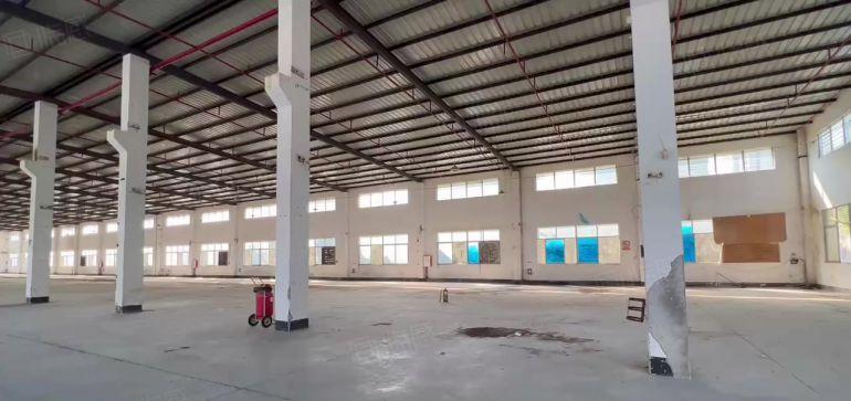 滴水9米石岩原房东1000平单一层钢结构厂房仓库分租超大空地