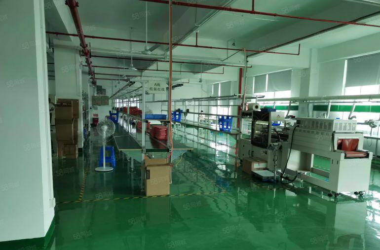 福永桥头新出20元楼上800平豪华装修无转让费