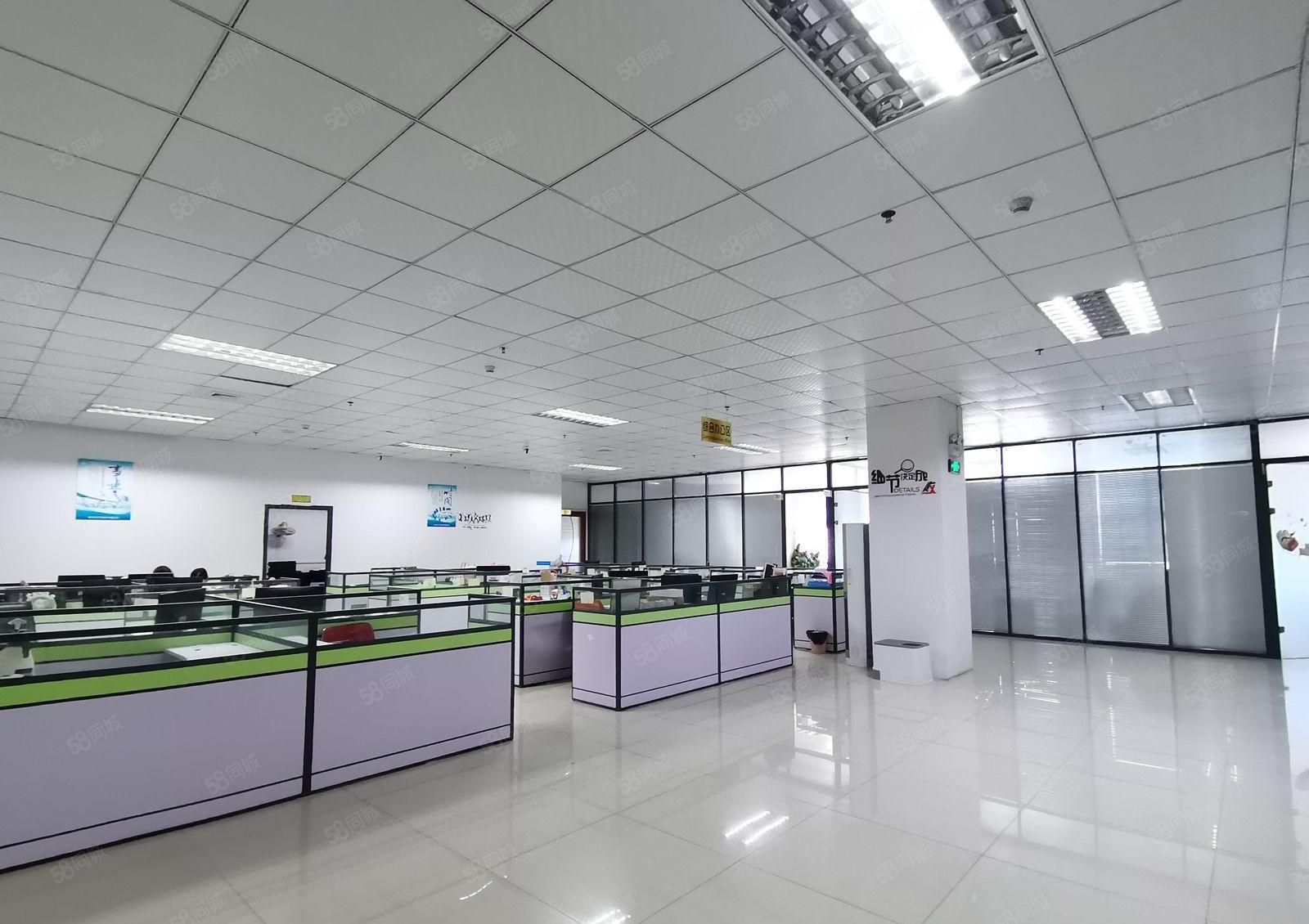 沙井新桥107国道790平方精装修无转让费高新园区厂房出租