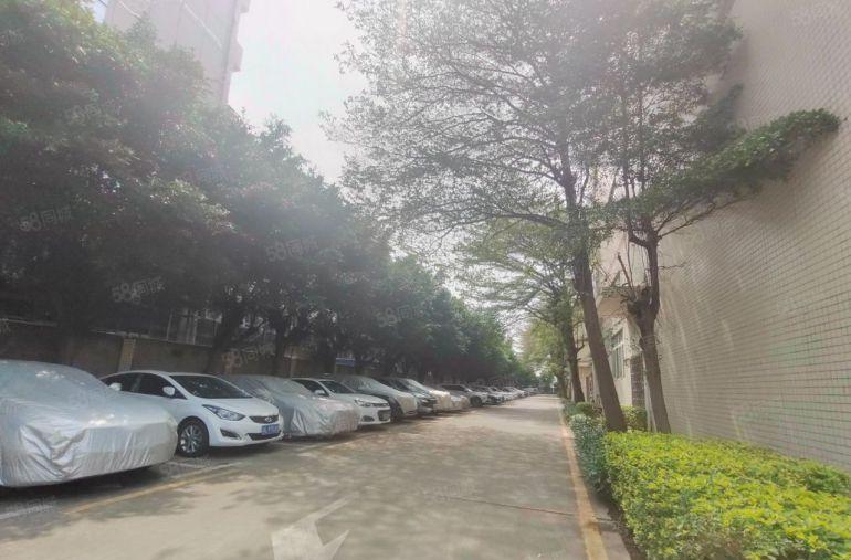 沙井沙一新出原房东层高6米一楼500方起租可做仓储物流