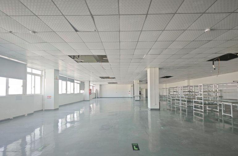 石岩原房东工业园精装修2000平办公厂房出租一楼仓库可分租