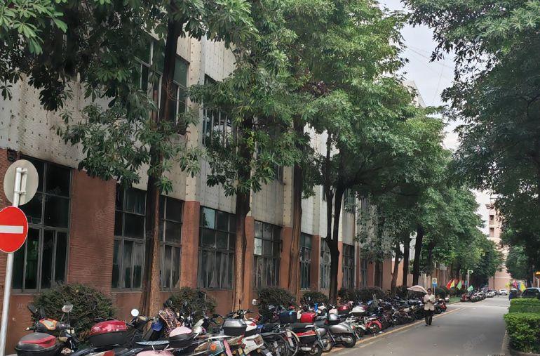 沙井大型工业园区厂房出租整租分租均可