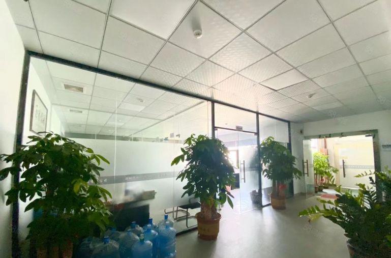 固戍新出精装修厂房出租500平到1000厂房仓库原房东出租