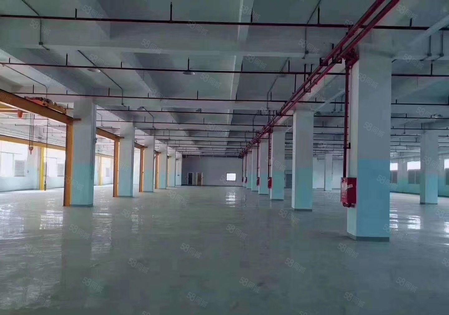 石岩双高速口原房东红本厂房2000平出租可以办环评