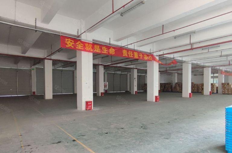 福永新和沿江高速旁原房东一楼1000平方厂房仓库出租超大空地