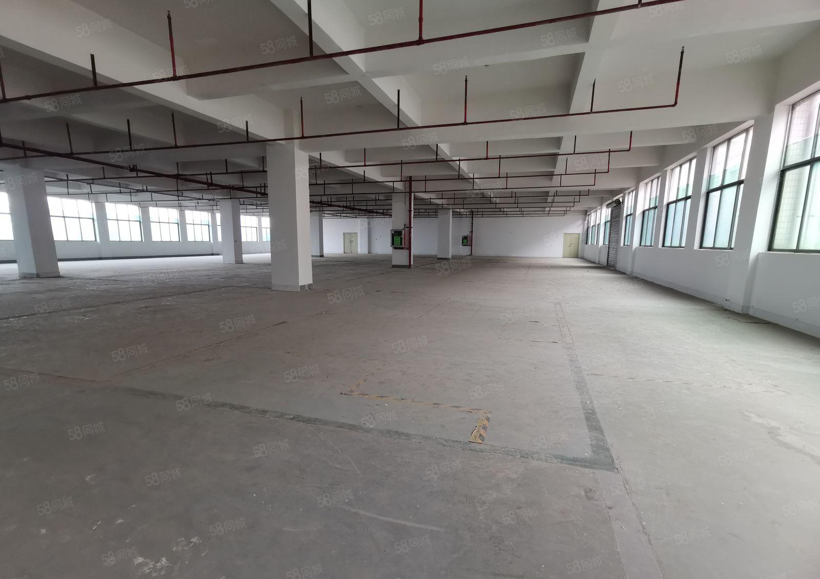 宝安黄田大型高新区1800平米厂房 半层带消防喷淋