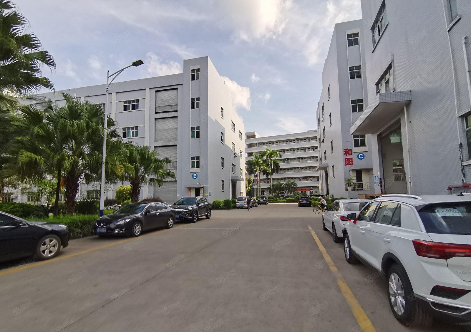 沙井共和工业园300至8000平原房东一二楼厂房仓库低价出租