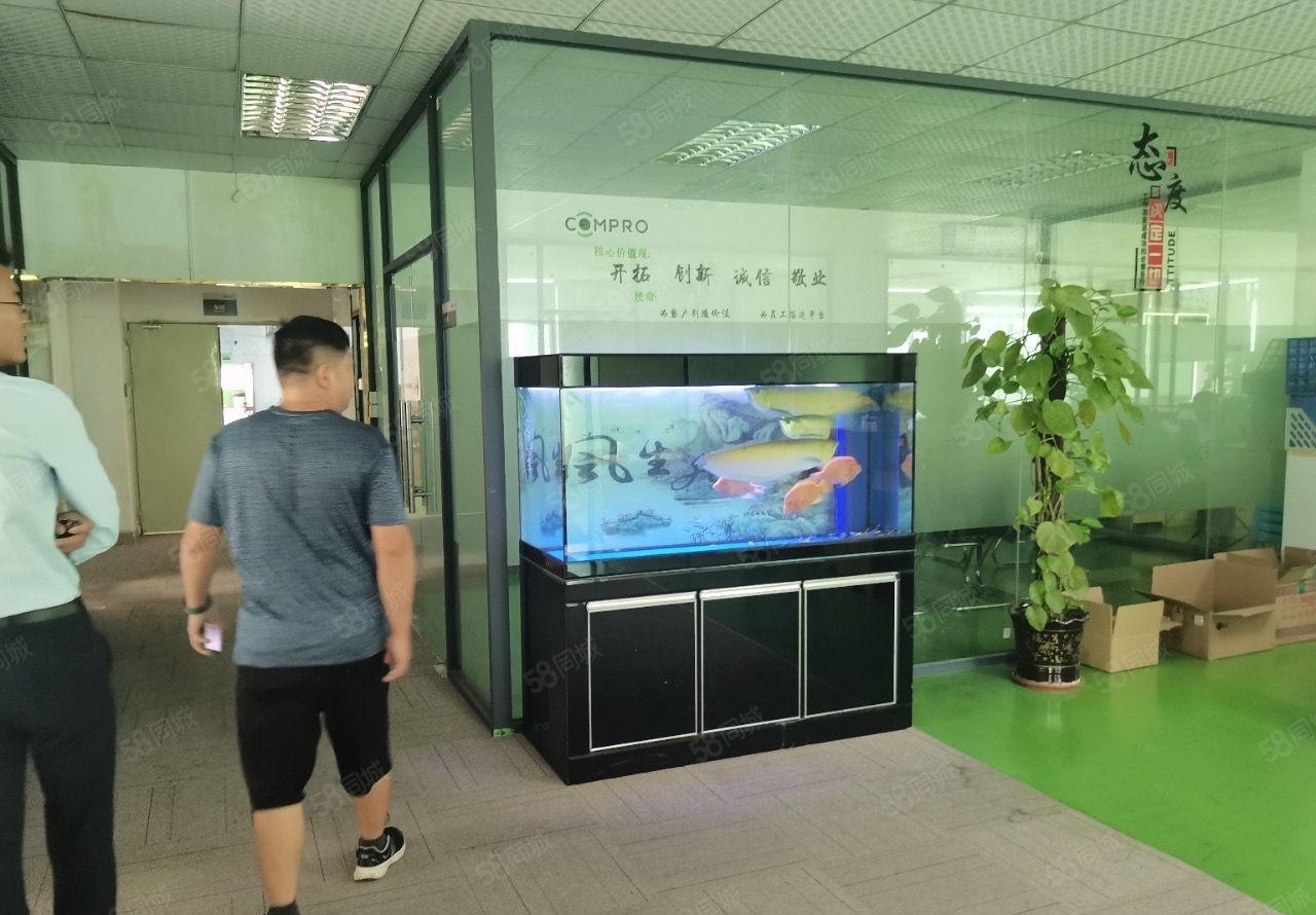 宝安区福永和平主干道旁边楼上2500平豪华装修