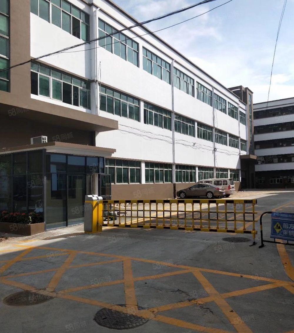 松岗大田洋新出原房东独门独院5000平方厂房招租