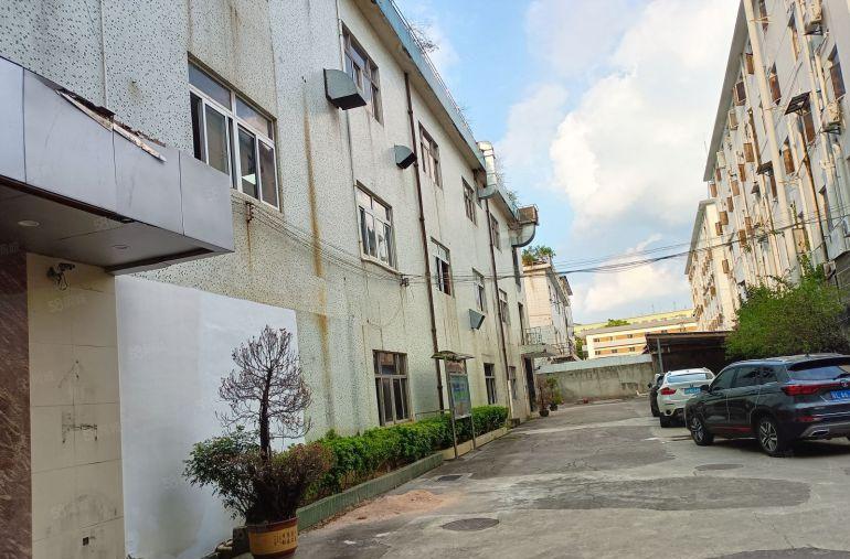 500平起租石岩地铁口附近独院4800平原房东红本过环评