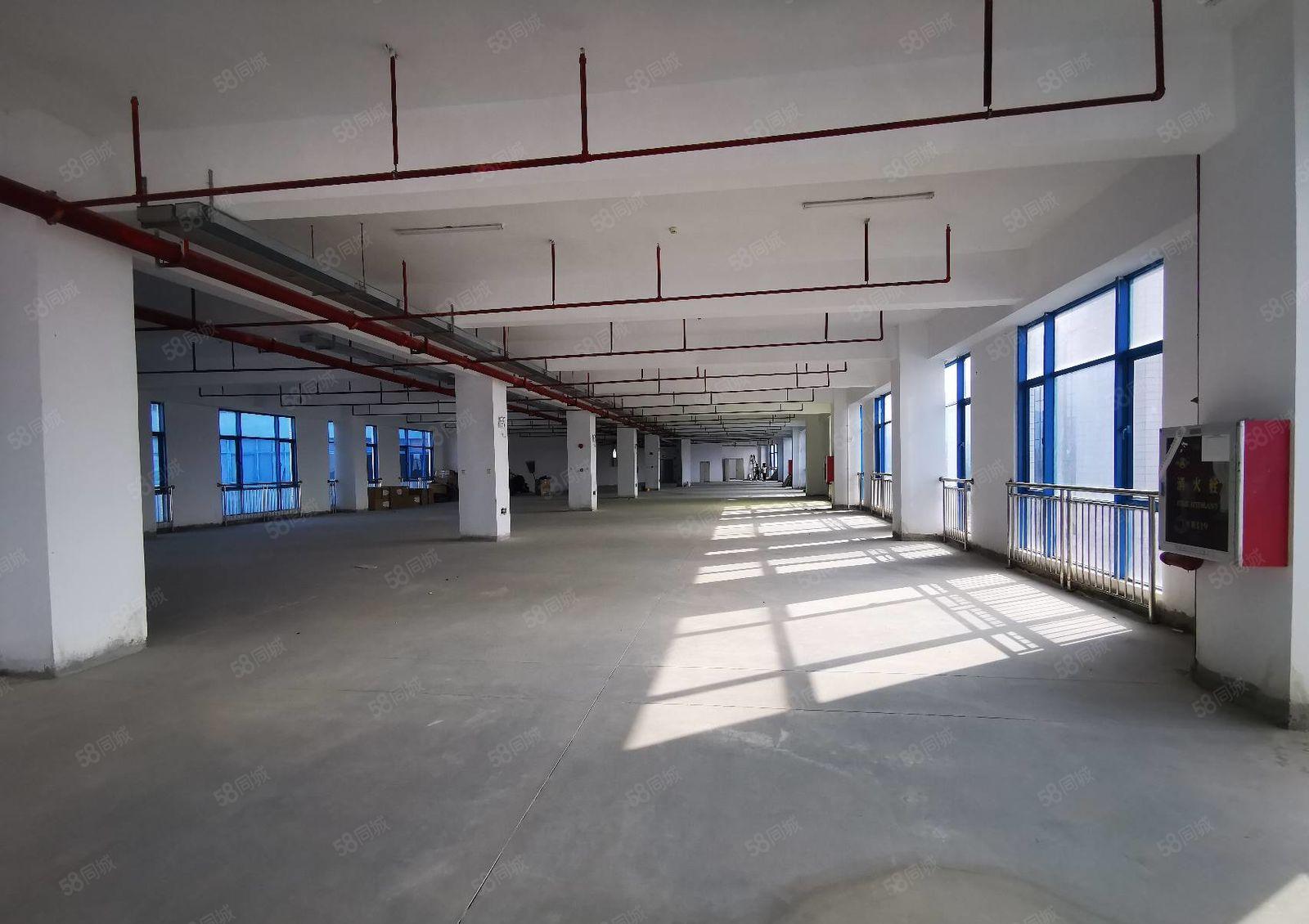 宝安石岩大型工业区原房东红本实际面积2000平厂房出租