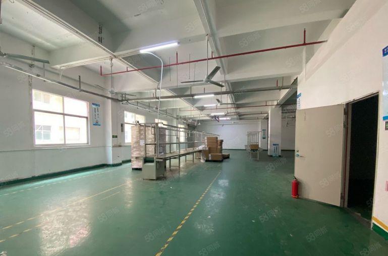 20元起松岗地铁口楼上500平精装修厂房出租仓库出租可分租