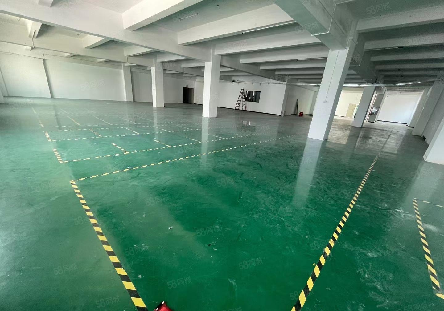 可分租石岩应人石500平1000平2000平精装厂房仓库出租