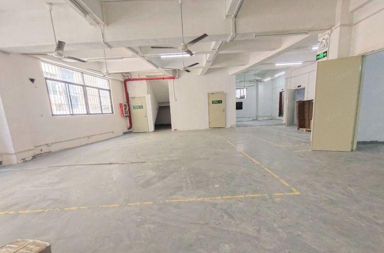 特价一楼26元，固戍一楼600平，800平厂房仓库，水电齐全