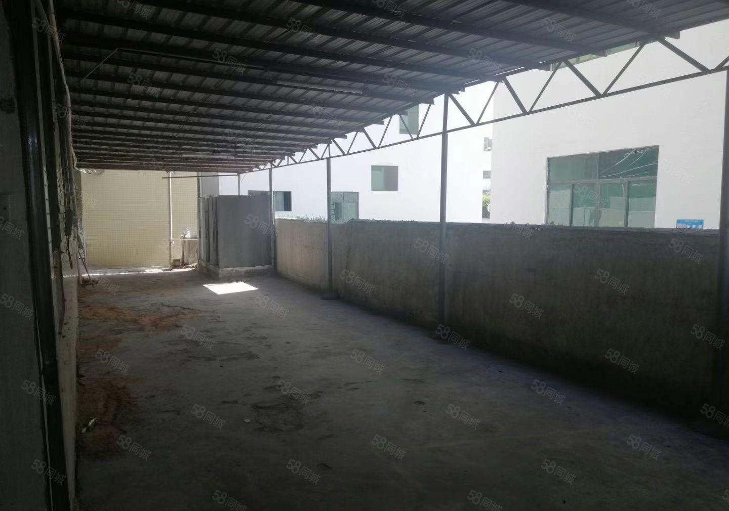 （出租）固戍一楼厂房1050平1300平1600平大小可分租