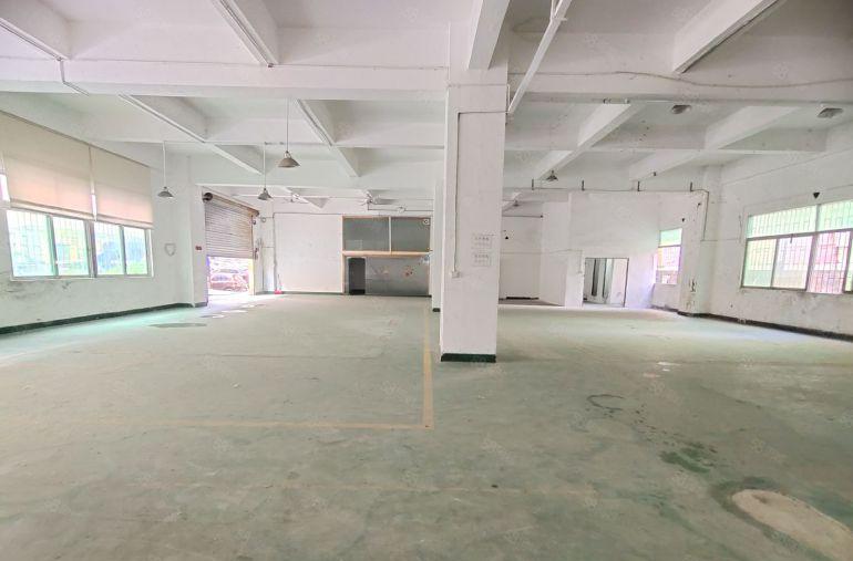 西乡洲石路，鹤洲大型正规工业区一楼新出700厂房，带卸货平台