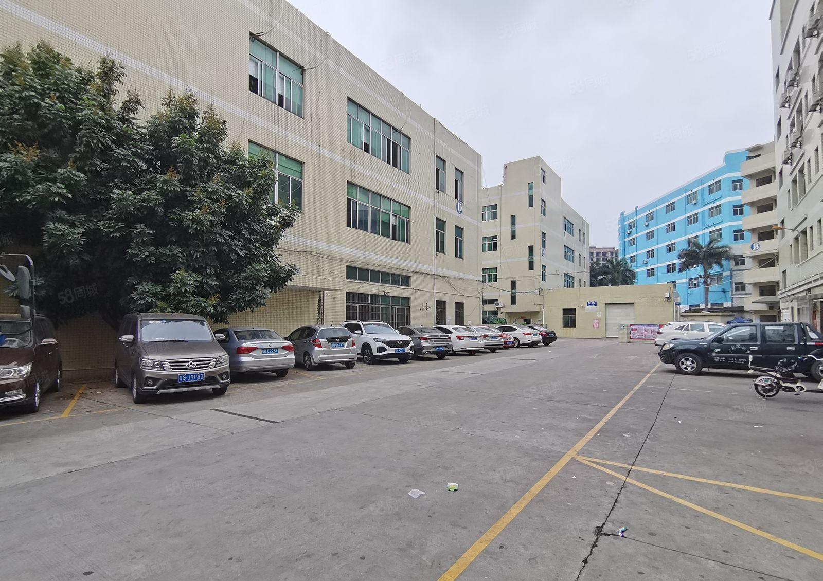 石岩石龙仔2百5百1千3千分租独栋原房东红本厂房仓库出租转租