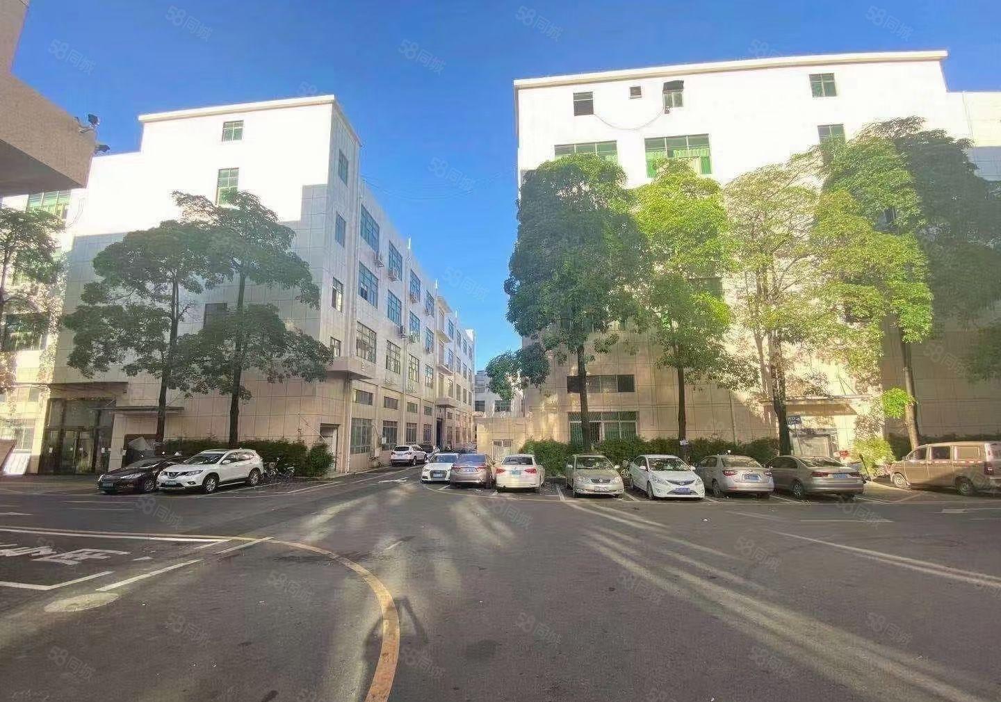 原房东直租！石岩北环径贝精装修200平厂房！免转让费拎包入住