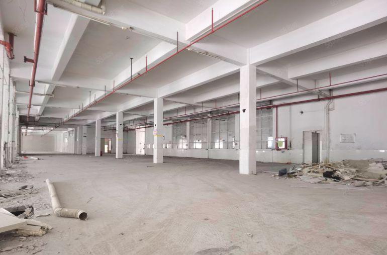 100平米起租 沙井小面积加工厂房